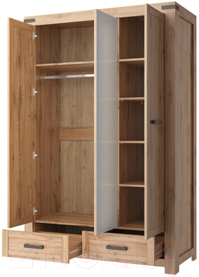 Шкаф Anrex Mortiz 3DG2S Z (дуб вотан)