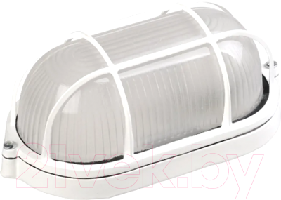 Светильник ЖКХ IEK LNPP0-1202-1-100-K01 - фото