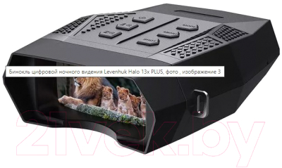 Бинокль Levenhuk Halo 13x Plus / 79632