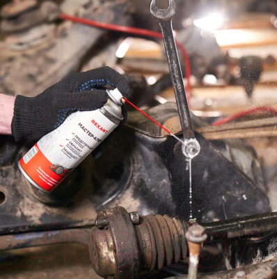 Смазка техническая Rexant Мастер-ключ 85-0053-1