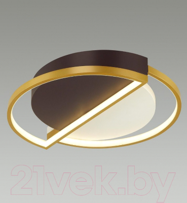 Потолочный светильник Lumion Ledio 5239/64CL