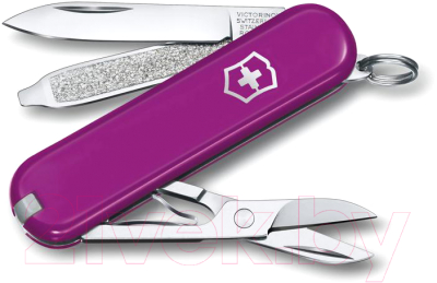 Нож складной Victorinox Tasty Grape 0.6223.52G - фото