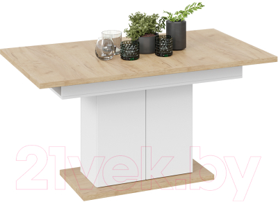 Обеденный стол ТриЯ Детройт Тип 1