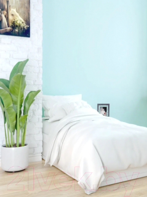 Краска Palizh Акриловая интерьерная моющаяся