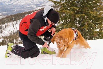 Лопата для уборки снега Prosperplast Everest Eco / ILTEV-S411 (черный)