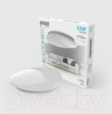 Потолочный светильник Gauss Basic Space Stone 995438260