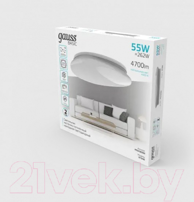 Потолочный светильник Gauss Basic Space Stone 995438260