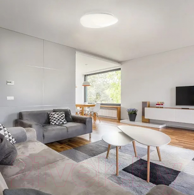 Потолочный светильник Gauss Basic Space Stone 995438260