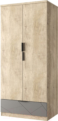 Шкаф Anrex Kaylas 2DG1S (дуб каньон/силк шитаке) - фото