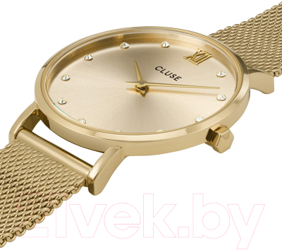 Часы наручные женские Cluse CW10204