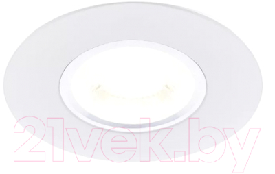 Точечный светильник Ambrella A500 W - фото