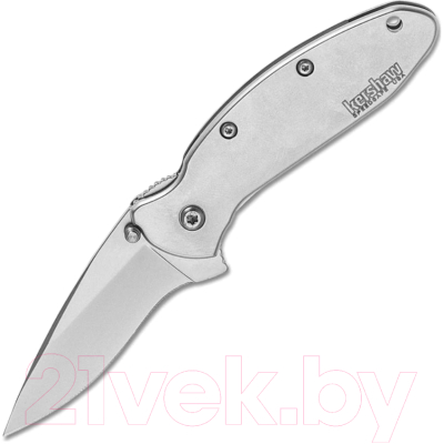 Нож складной Kershaw Scallion Stainless / 1620FL - фото