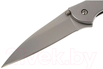 Нож складной Kershaw Leek / 1660