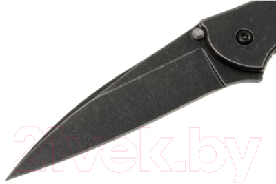 Нож складной Kershaw Leek / 1660BLKW