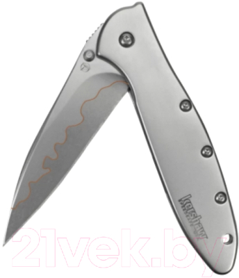 Нож складной Kershaw Leek / 1660CB