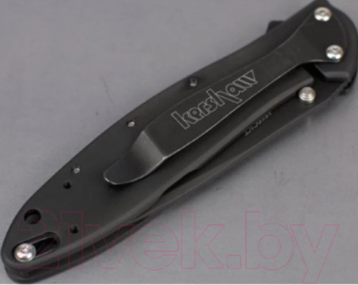 Нож складной Kershaw Leek / 1660CKT