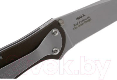 Нож складной Kershaw Leek / 1660OL