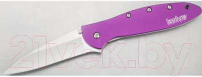 Нож складной Kershaw Leek / 1660PUR