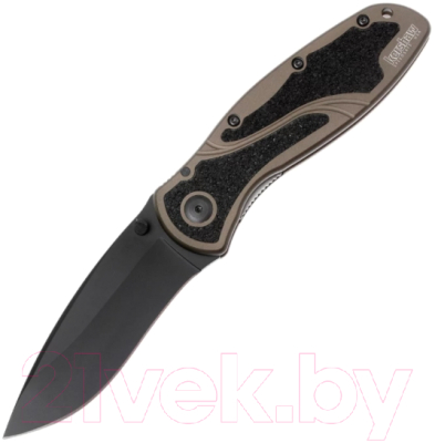 Нож складной Kershaw Blur 1670OLBLK - фото