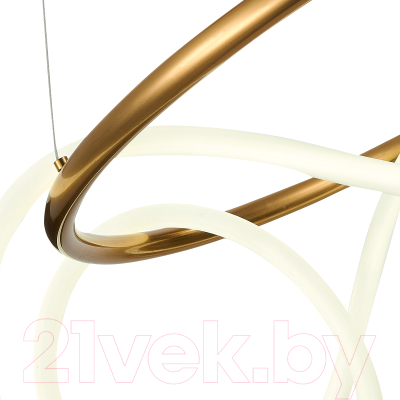 Потолочный светильник ST Luce Sagrato SL6102.303.55