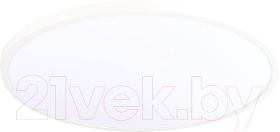 Потолочный светильник ST Luce ST601.532.48 - фото