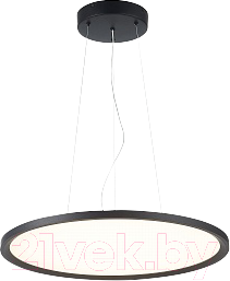 Потолочный светильник ST Luce ST602.443.56 - фото