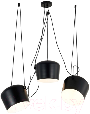 Люстра Evoluce Trieste SLE120643-03 - фото