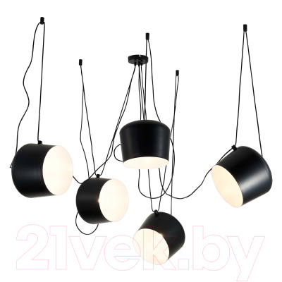 Люстра Evoluce Trieste SLE120643-05 - фото