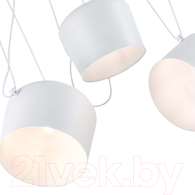 Люстра Evoluce Trieste SLE120653-03