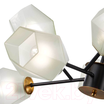 Люстра Evoluce Terramo SLE205102-08