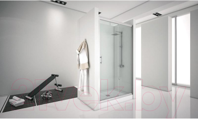 Душевая дверь Aquanet Alfa 160 / NAA6121