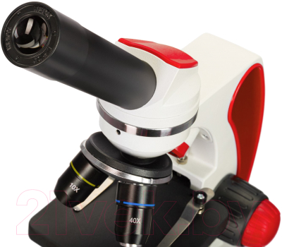 Микроскоп оптический Discovery Pico Terra с книгой / 77974