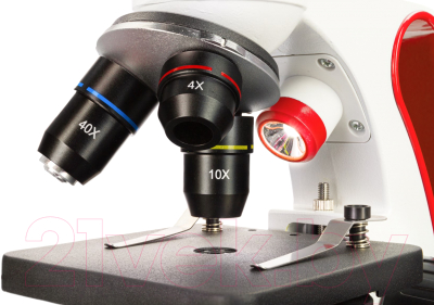 Микроскоп оптический Discovery Pico Terra с книгой / 77974