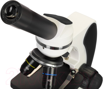 Микроскоп оптический Discovery Pico Polar с книгой / 77977