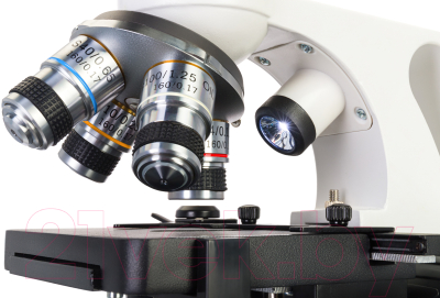 Микроскоп оптический Levenhuk Discovery Atto Polar с книгой / 77989