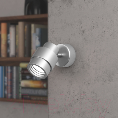 Спот Евросвет 20125/1 LED