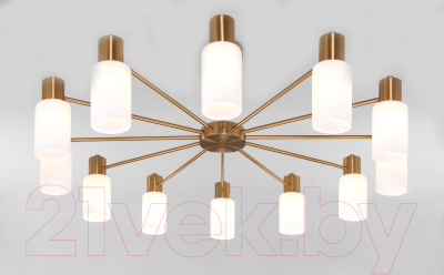 Люстра Евросвет 70160/12 (латунь) - фото