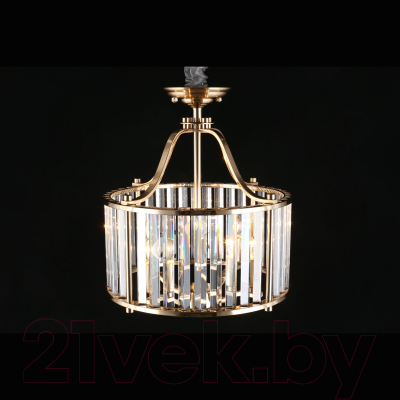 Люстра Aployt Romen APL.809.03.04