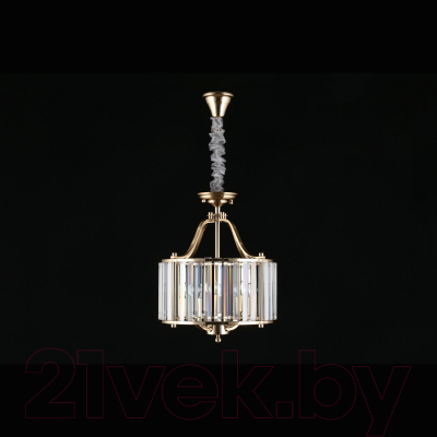 Люстра Aployt Romen APL.809.03.04