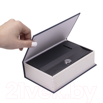 Книга-сейф Brauberg Английский словарь / 291178