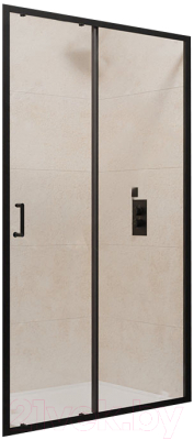 Душевая дверь RGW PA-14 B / 41081415-14 - фото