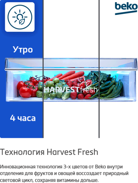 Холодильник с морозильником Beko B3RCNK362HS