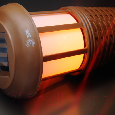 Светильник уличный ЭРА ERASF22-35 / Б0053383