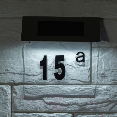 Светильник уличный ЭРА ERASF22-40 / Б0053390