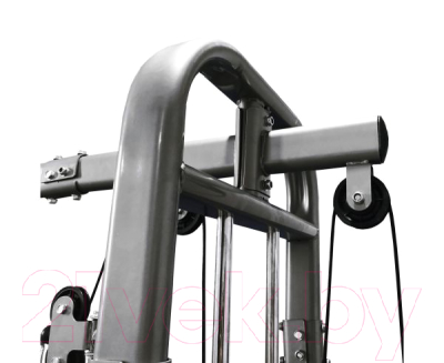 Силовой тренажер DFC D1009