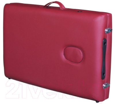 Массажный стол DFC Nirvana Optima / TS20110S-W (винный)