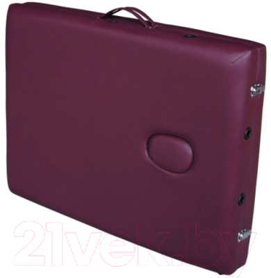 Массажный стол DFC Nirvana Relax / TS20111-P