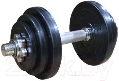 Диск для штанги DFC WP021-31-0.5