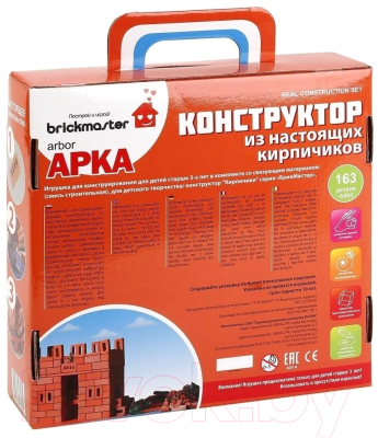 Конструктор Brickmaster Арка / 204 (163эл)