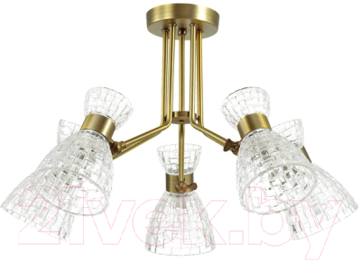 Люстра Lumion Jackie 3704/5C - фото